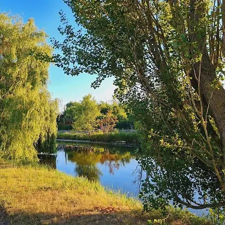 A Fleur De : Maison Chaleureuse Avec Privatif Et Billard. *