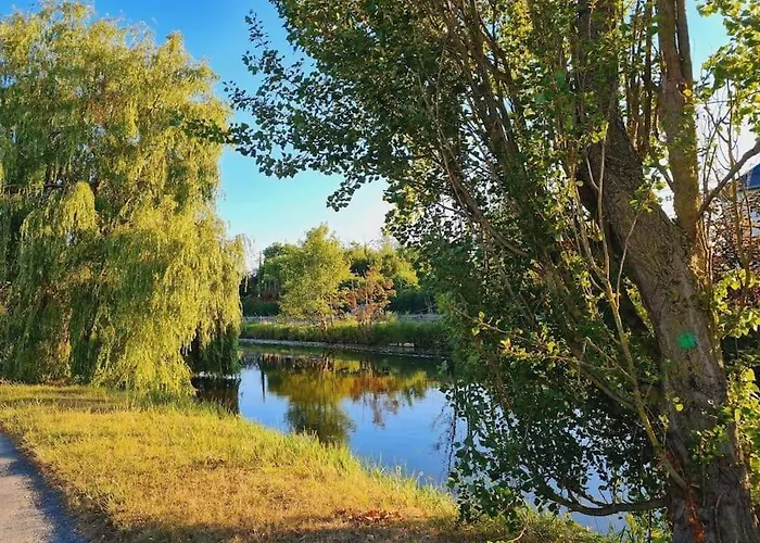 A Fleur De : Maison Chaleureuse Avec Privatif Et Billard. *